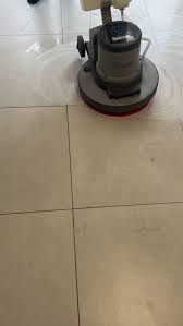 Professional stain removal service